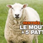 QU1491 SNALC Ecole : "Rentrée : le mouton à 5 pattes"