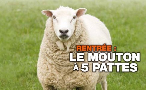 QU1491 SNALC Ecole : "Rentrée : le mouton à 5 pattes"